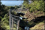 le_luc_11_12_06_51.jpg