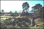 le_luc_11_12_06_54.jpg