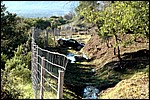 le_luc_11_12_06_55.jpg
