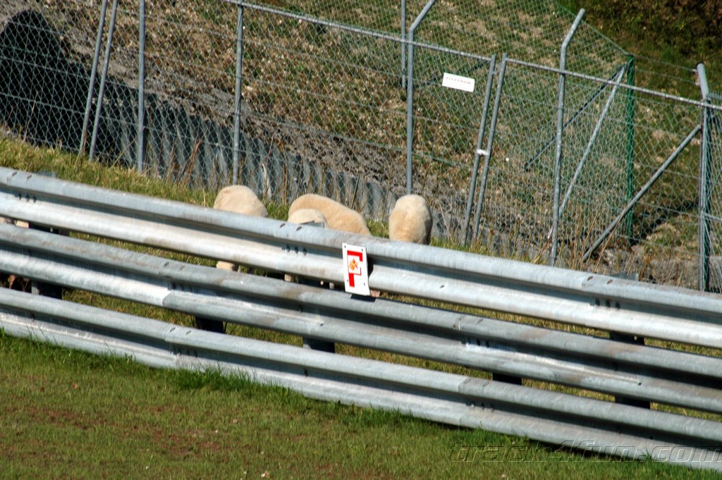 DSC_2888.JPG