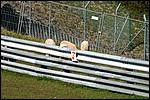 DSC_2888.JPG