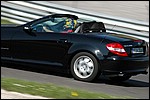 DSC_2968.JPG