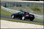 DSC_2983.JPG