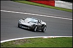 spa212.jpg